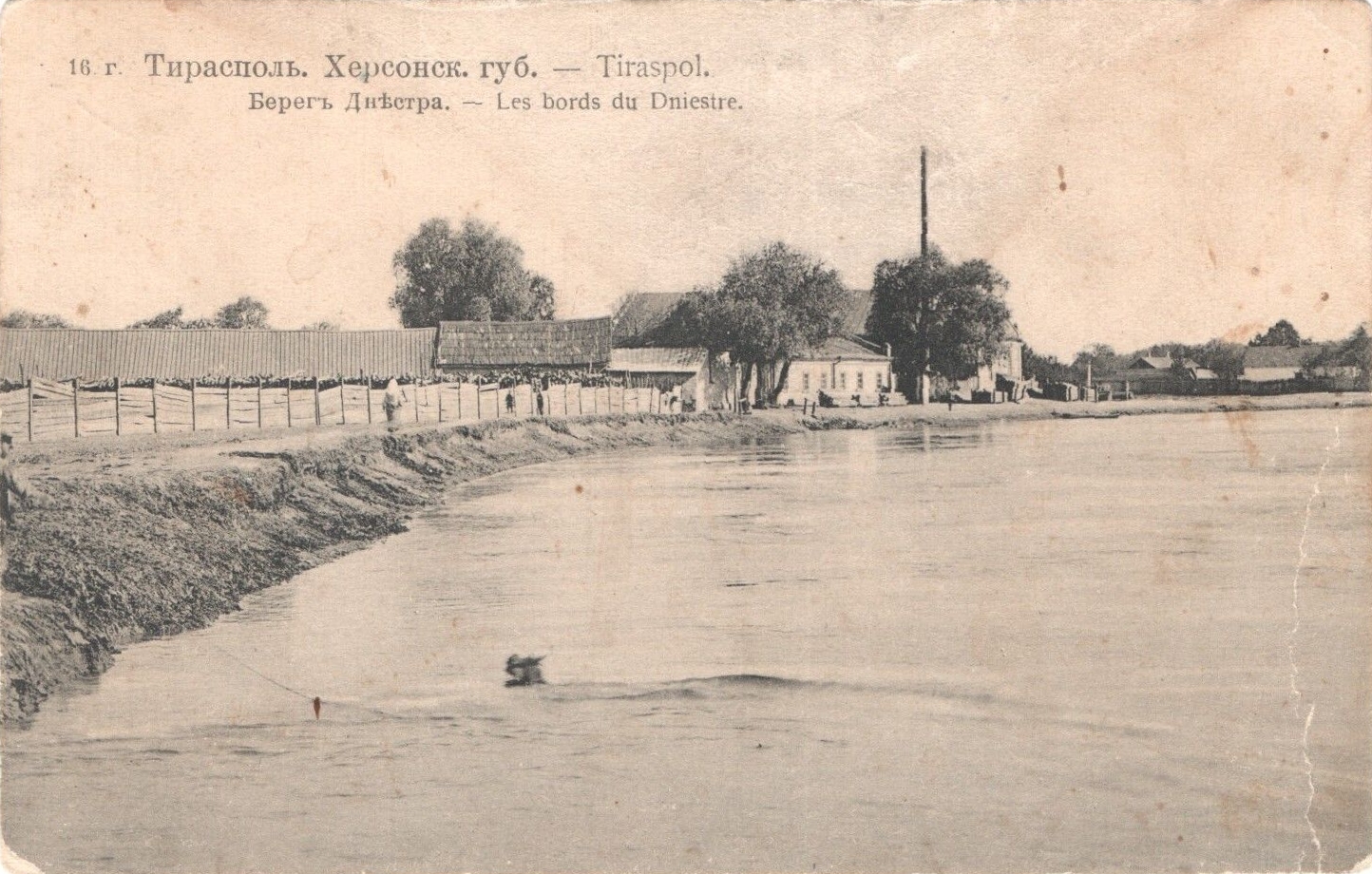 Берег Днестра